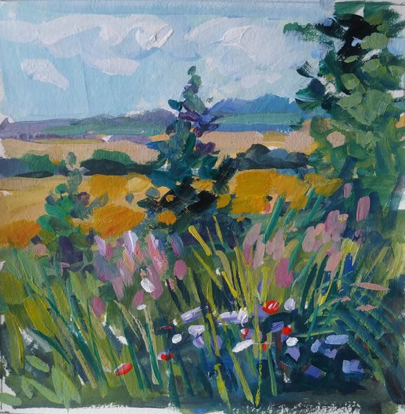 Fields and Wildflowers