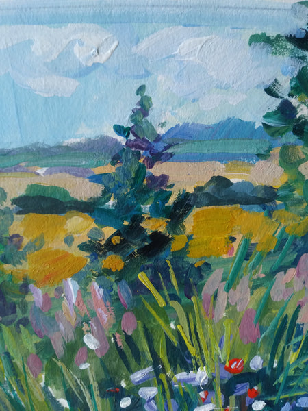 Fields and Wildflowers