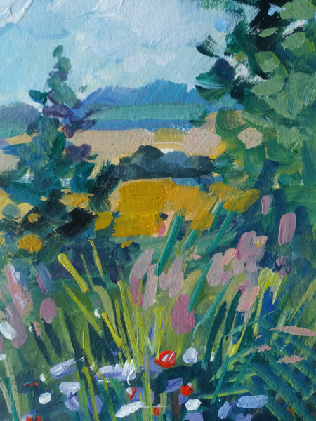 Fields and Wildflowers