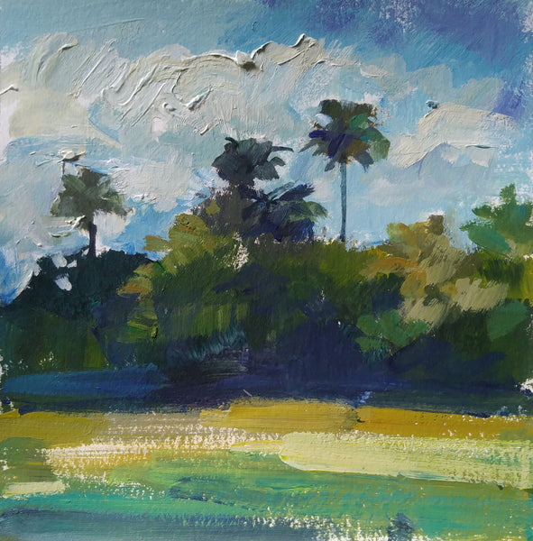 Palm Trees and Sunshine