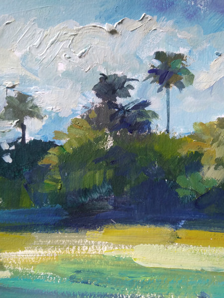 Palm Trees and Sunshine