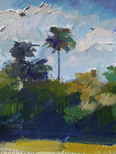 Palm Trees and Sunshine