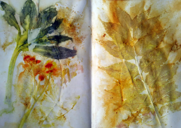 Ecoprinting on Paper February 15,2025