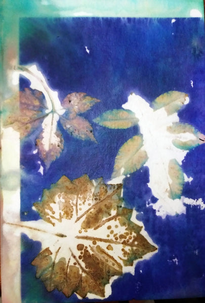 Ecoprinting on Paper February 15,2025