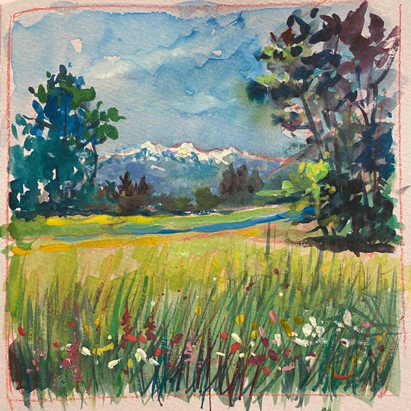 Wildflowers and Peaks