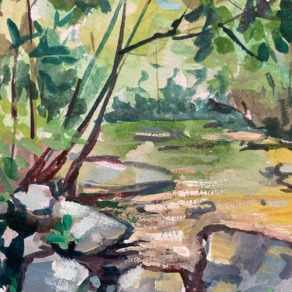 Pisgah Forest Stream