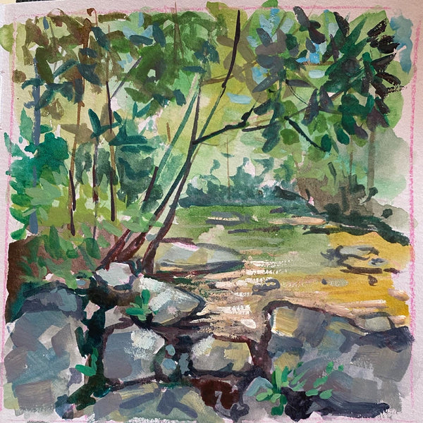 Pisgah Forest Stream