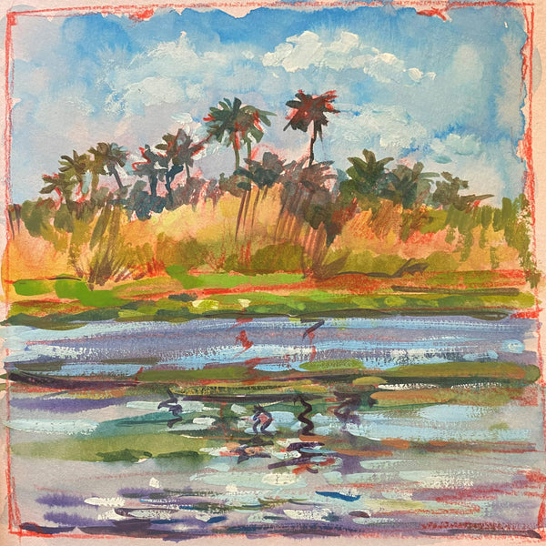 Tropical Reflections