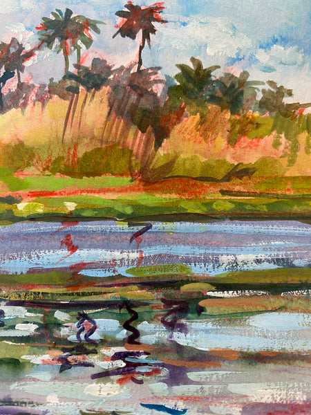 Tropical Reflections