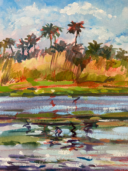 Tropical Reflections