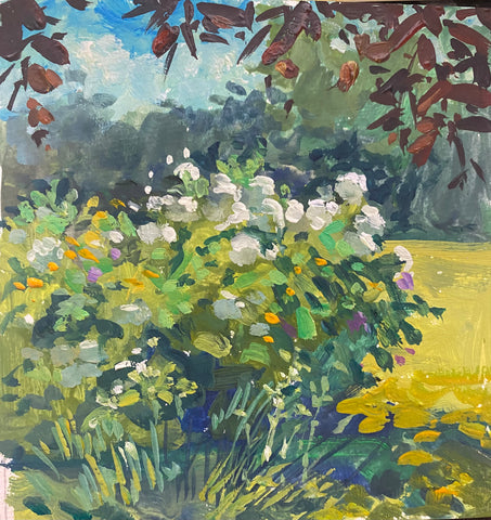 White Hydrangeas