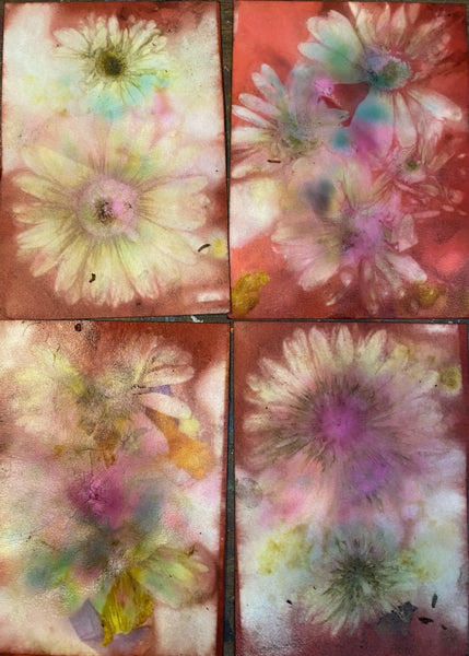 ECourse: Intro To Botanical Printing on Paper $49 introductory price (reg. $69)
