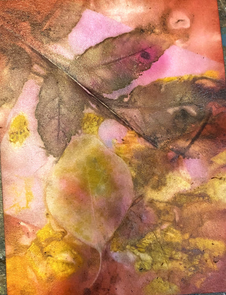 ECourse: Intro To Botanical Printing on Paper $49 introductory price (reg. $69)