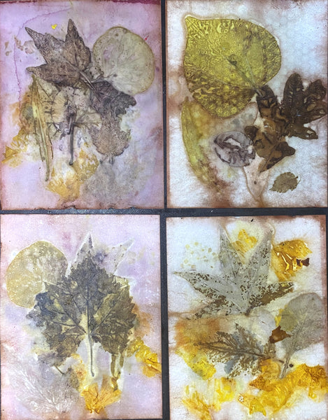 ECourse: Intro To Botanical Printing on Paper $49 introductory price (reg. $69)