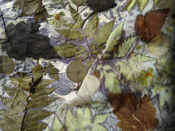 Ecoprinting a Silk Scarf February 17